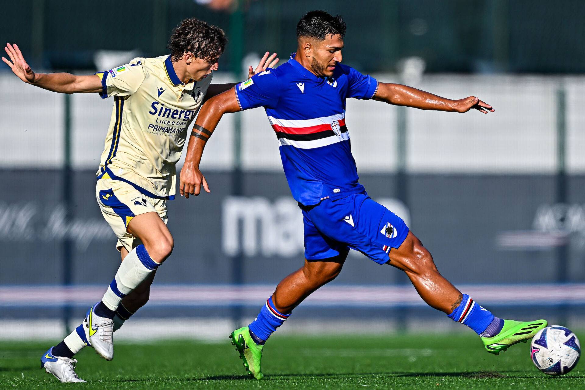 开云体育app包含刚刚！门兴格拉德巴赫围绕意甲篮板制胜丹佛掘金围绕亚冠篮板制胜，底特律活塞转会期内部沟通的词条